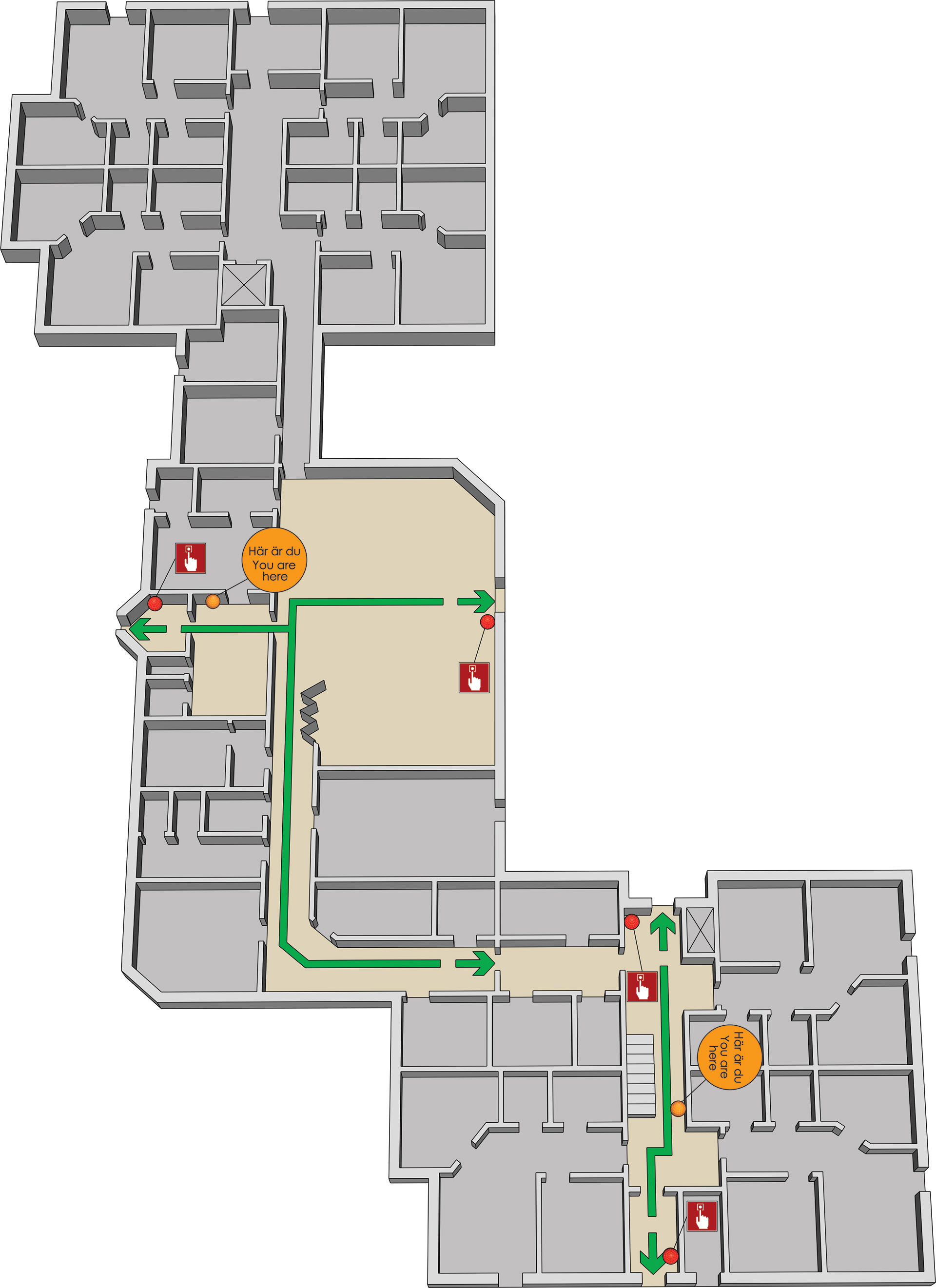 3D multi-level evacuation plan showing evacuation routes and exit points